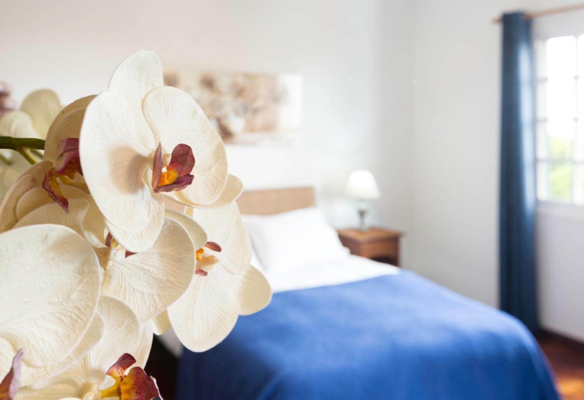 Charming Apartments In Funchal - Sao Goncalo Rom bilde